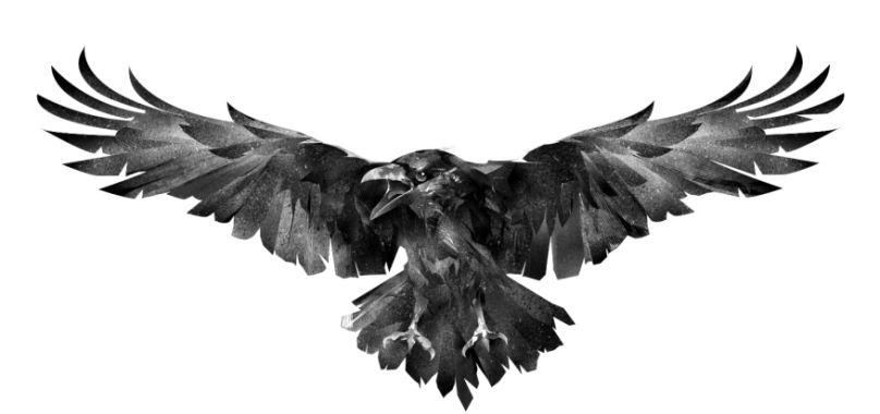 A crow with its wings spreaded.